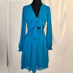 Amazon Teal Long Sleeve Dress